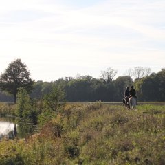 Reitweg an der Ems