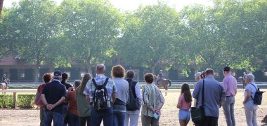 Gruppe bei einer Führung im NRW-Landgestüt