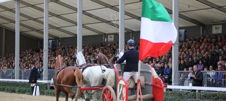 Warendorfer Hengstparade