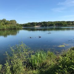 Blick auf den Feldmarksee in Sassenberg