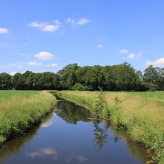 Blick auf die Hessel in Milte