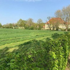 Blick auf Schl0ß Vornholz