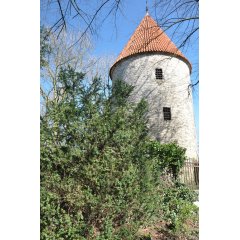 Bentheimer Turm, alter Wehrturm