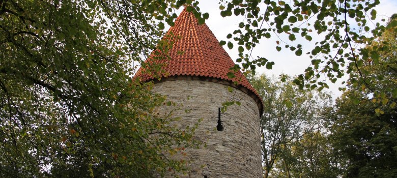 Bentheimer Turm 