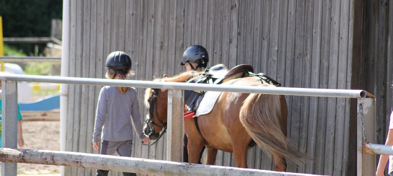 Kinder führen ein Pony